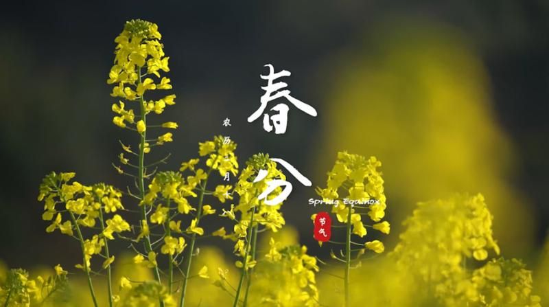 春水初生，春林初盛